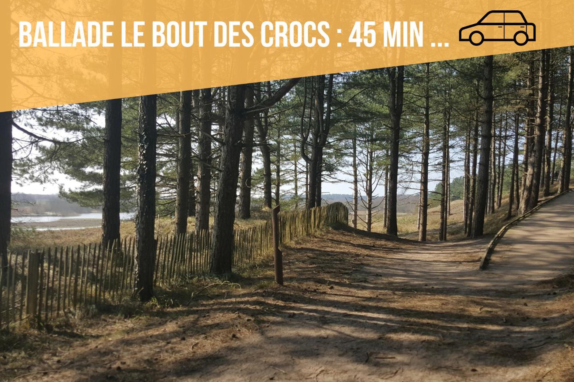 "Chez Michel " Les Gites De Sery Bouillancourt-en-Sery Eksteriør billede